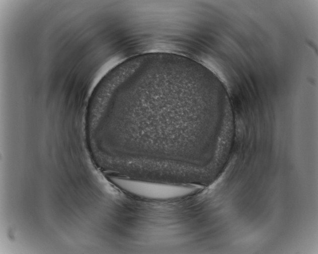 X0000097491138200803141951