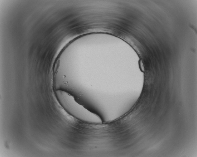 X0000097491140200803141951