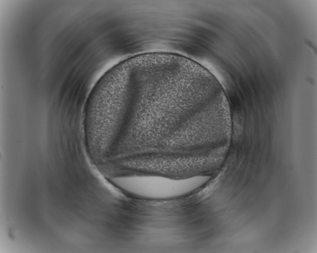 X0000097491142200803141951