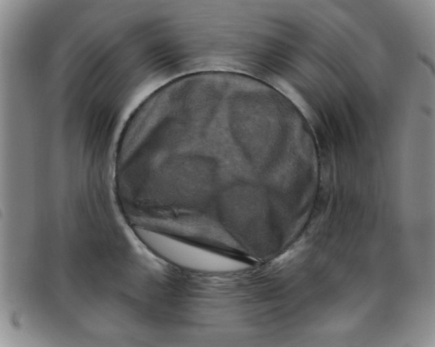 X0000097491144200803141951