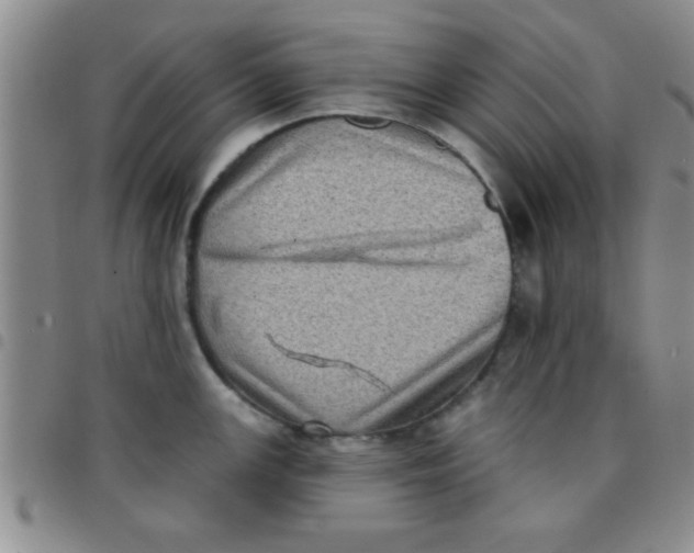 X0000097491147200803141951