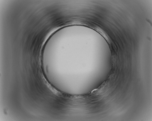 X0000097491148200803141951