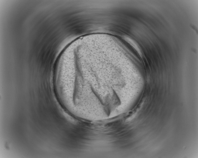 X0000097491149200803141951