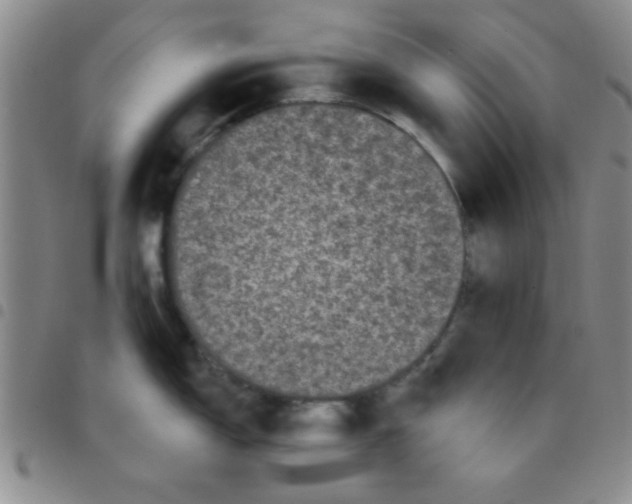 X0000097491150200803141951