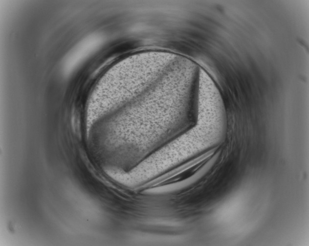 X0000097491151200803141951