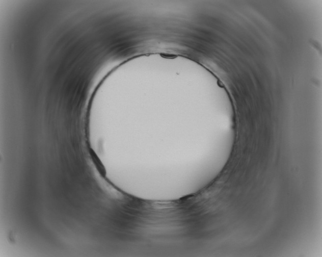 X0000097491152200803141951