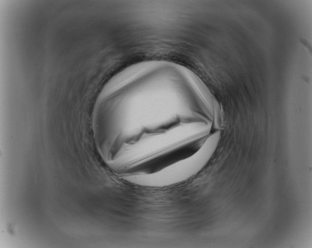 X0000097491153200803141951