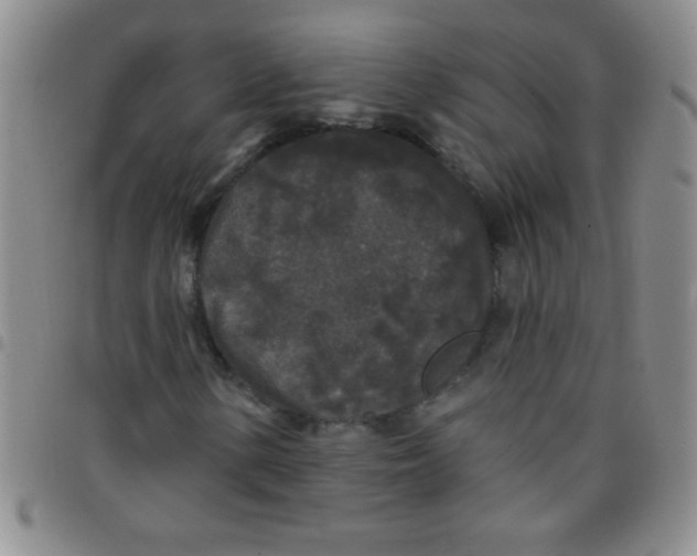 X0000097491154200803141951