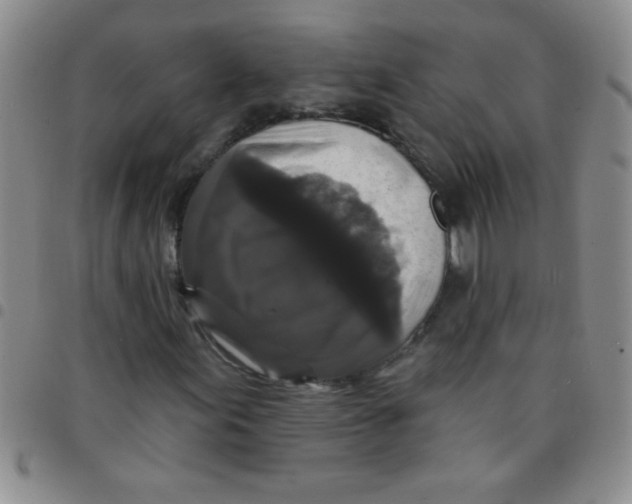 X0000097491155200803141951