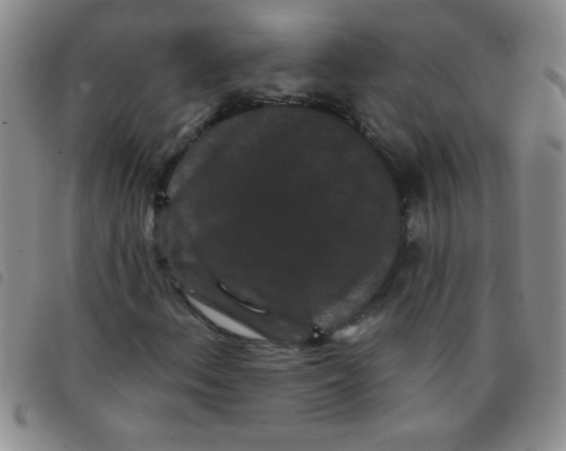 X0000097491156200803141951