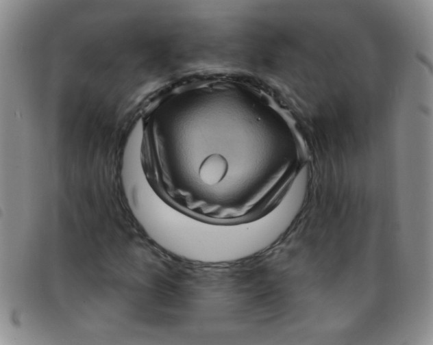 X0000097491157200803141950