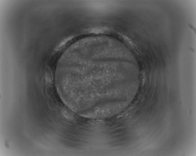 X0000097491158200803141950