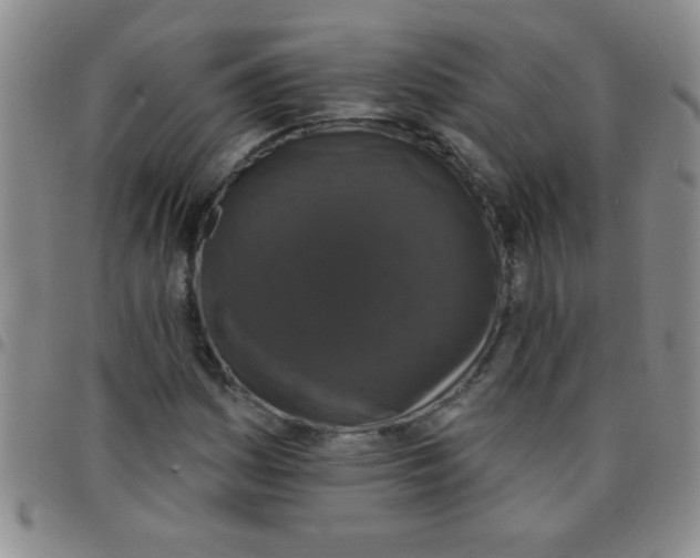 X0000097491161200803141950