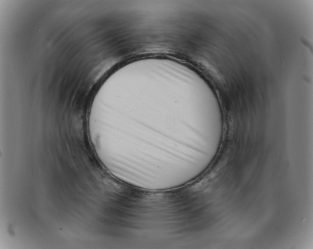 X0000097491162200803141950