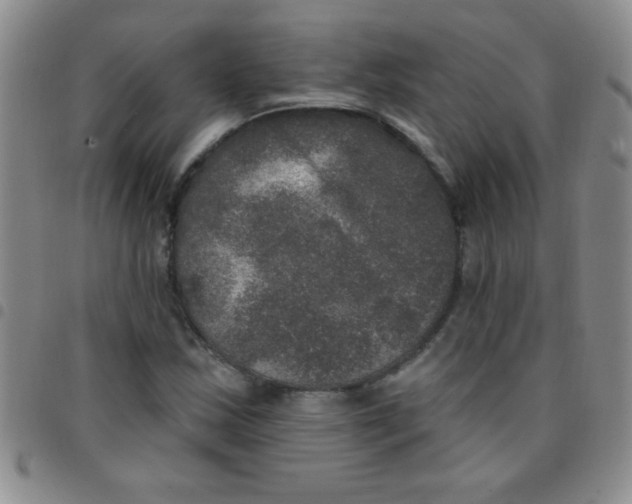 X0000097491163200803141950