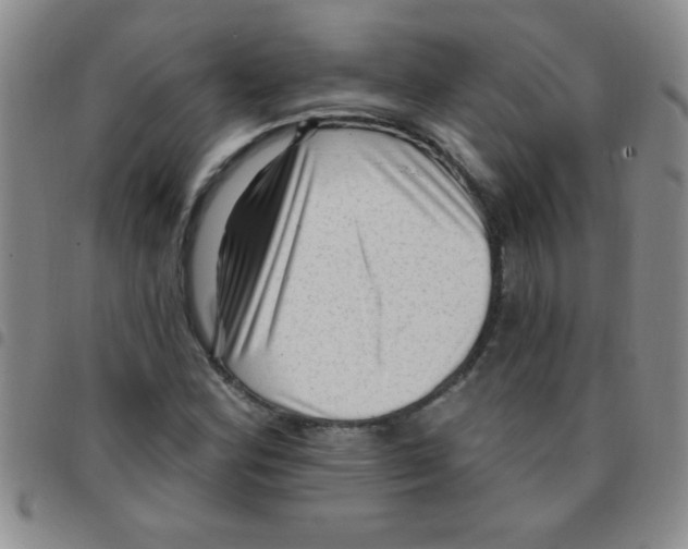 X0000097491164200803141950