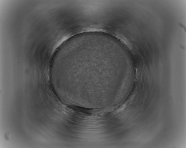 X0000097491165200803141950