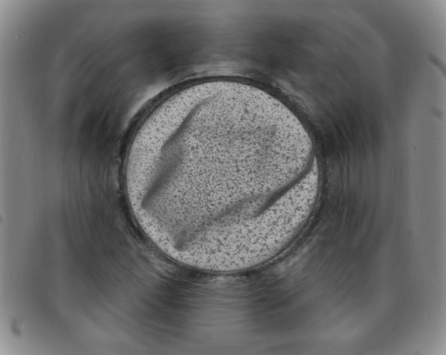 X0000097491166200803141950