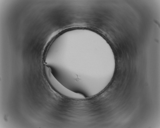 X0000097491168200803141950