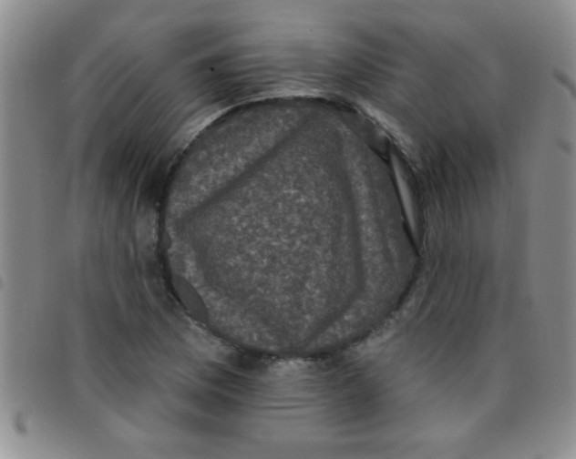 X0000097491169200803141950