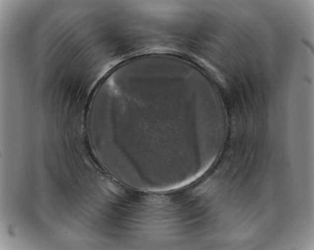 X0000097491170200803141950