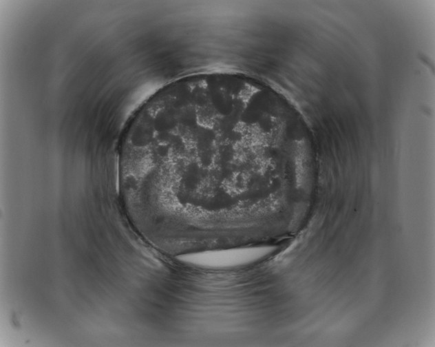 X0000097491171200803141950