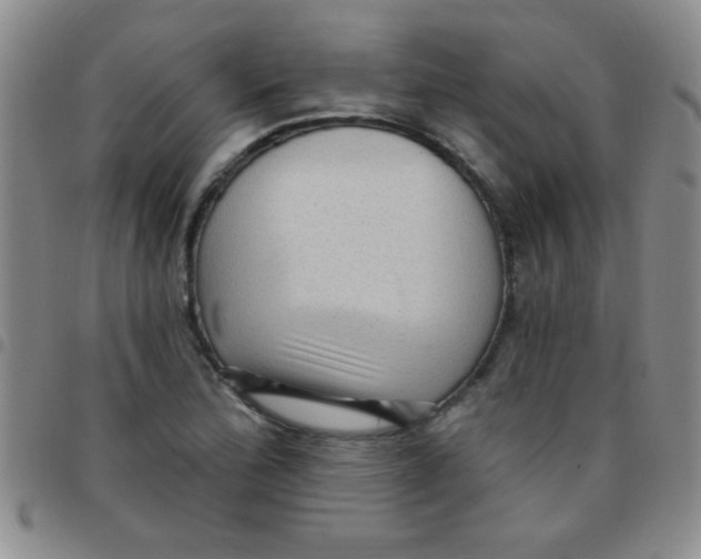 X0000097491172200803141950