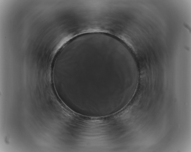 X0000097491173200803141950