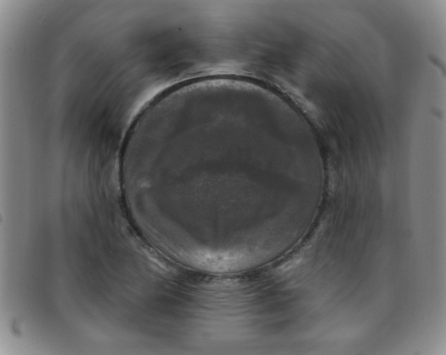 X0000097491174200803141950