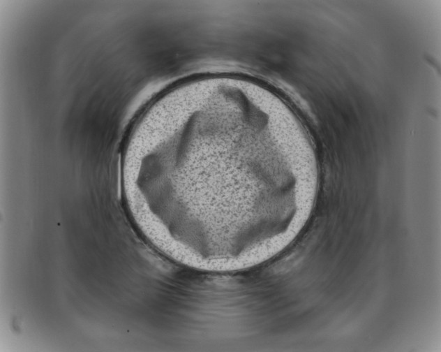 X0000097491175200803141950