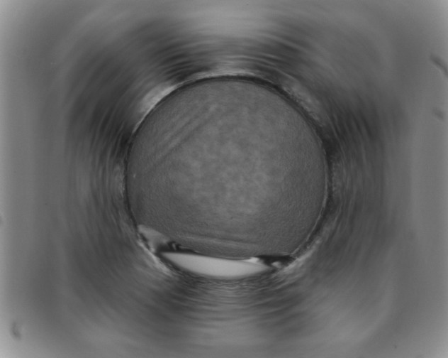 X0000097491177200803141950