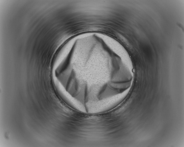 X0000097491178200803141950