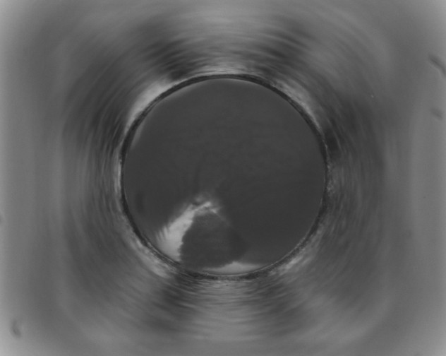 X0000097491179200803141950