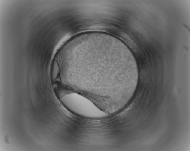 X0000097491180200803141950