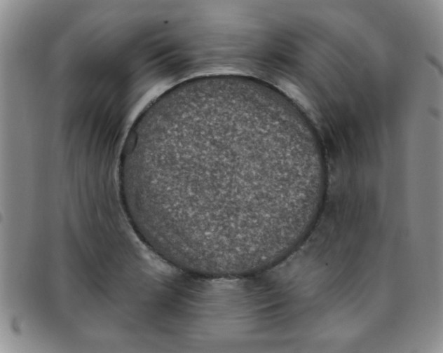 X0000097491181200803141950