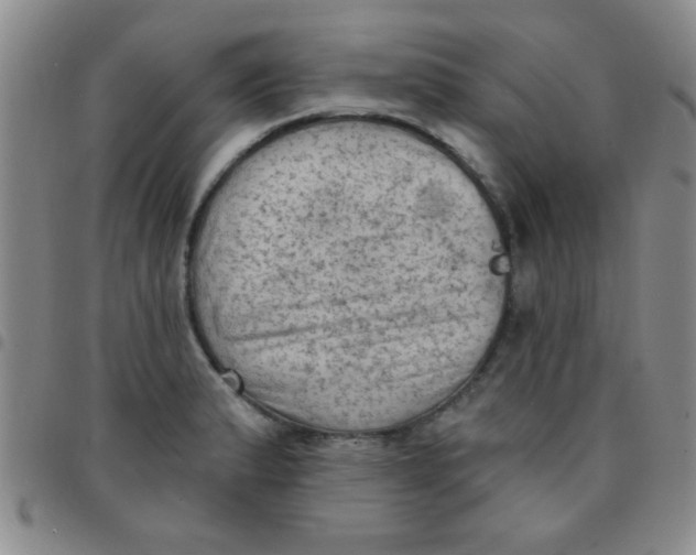 X0000097491183200803141950