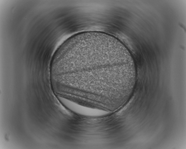 X0000097491184200803141950