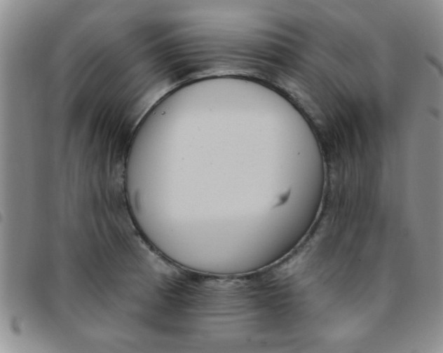 X0000097491185200803141950