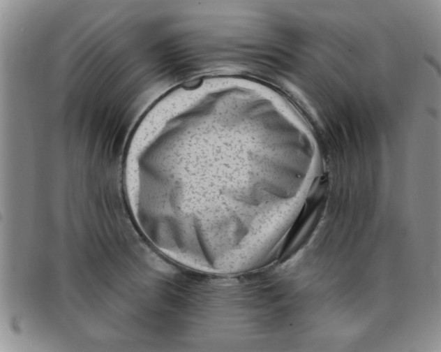 X0000097491186200803141950