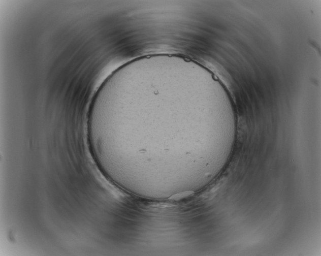 X0000097491187200803141950