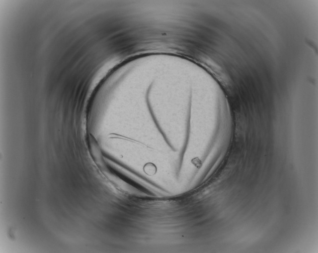 X0000097491188200803141950