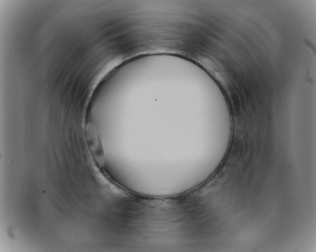 X0000097491189200803141950