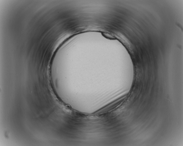 X0000097491190200803141950