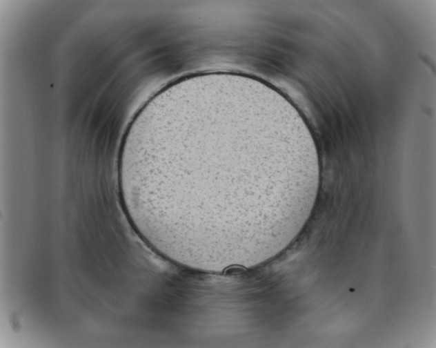 X0000097491191200803141950