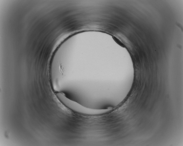 X0000097491192200803141950