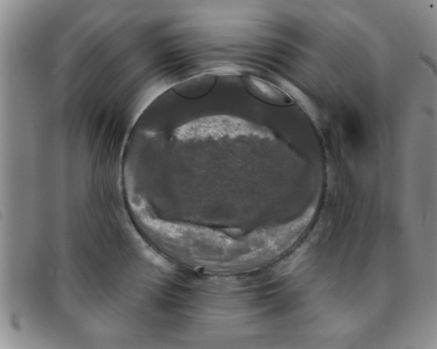 X0000097491194200803141950