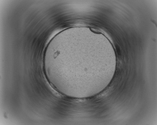 X0000097491195200803141950