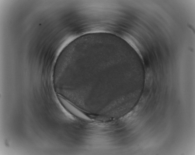 X0000097491197200803141950