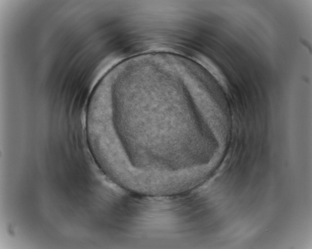 X0000097491198200803141950