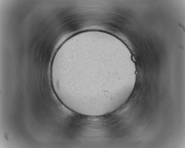 X0000097491199200803141950